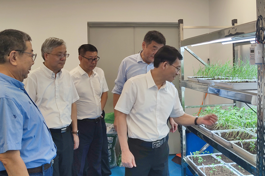 省委副书记沈丹阳、省委席委三业市委书记周红波赴产验室调研